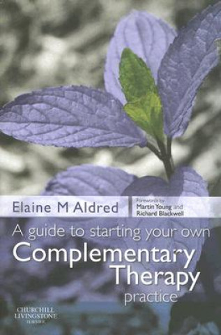 Kniha Guide to Starting your own Complementary Therapy Practice Elaine Aldred