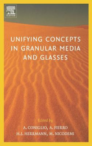 Kniha Unifying Concepts in Granular Media and Glasses Coniglio