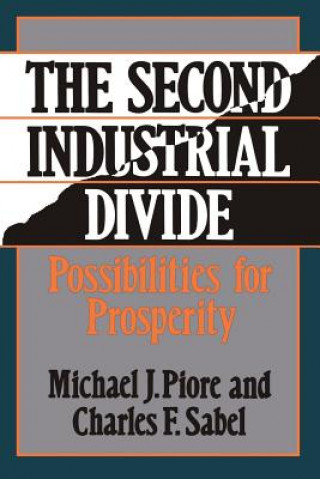 Kniha Second Industrial Divide Michael J. Piore