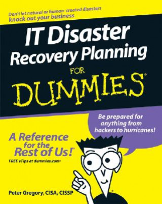 Könyv IT Disaster Recovery Planning For Dummies Peter Gregory