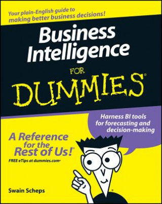 Carte Business Intelligence For Dummies Alan Simon