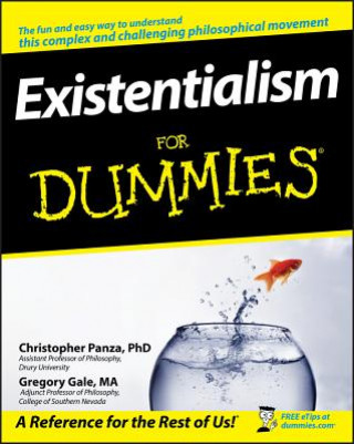 Kniha Existentialism For Dummies Christopher Panza