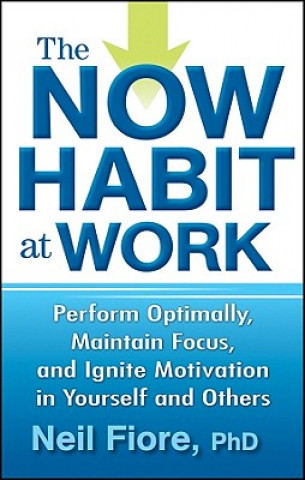 Buch Now Habit at Work Neil Fiore