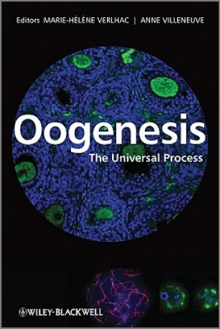 Kniha Oogenesis - The Universal Process Verlhac