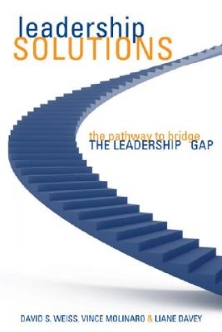 Livre Leadership Solutions David Weiss