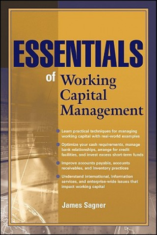 Kniha Essentials of Working Capital Management James Sagner