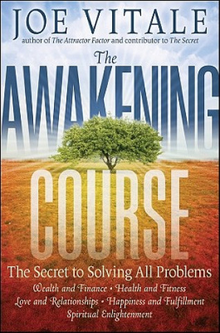 Kniha Awakening Course - The Secret to Solving All Problems Joe Vitale