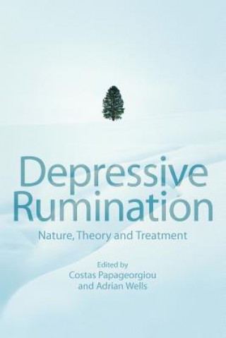 Knjiga Depressive Rumination - Nature, Theory and Treatment C. Papageorgiou