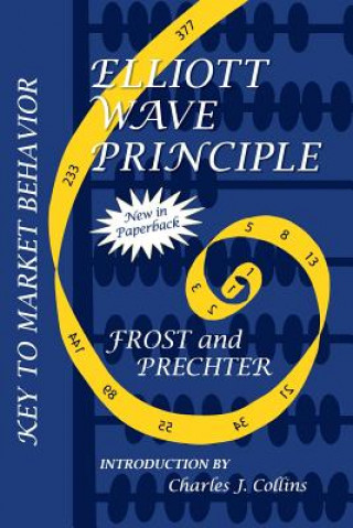 Kniha Elliott Wave Principle - Key to Market Behavior Robert Prechter