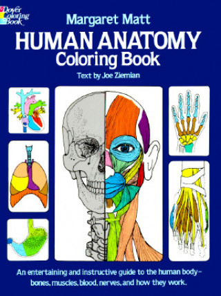 Könyv Human Anatomy Margaret Matt