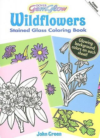 Kniha Wildflowers John Green