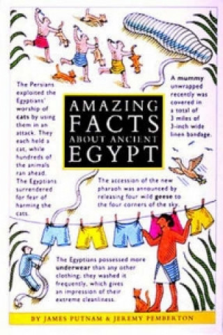 Könyv Amazing Facts About Ancient Egypt James Putnam