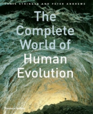 Könyv Complete World of Human Evolution Peter Andrews