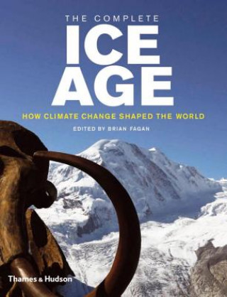 Kniha Complete Ice Age Brian Fagan