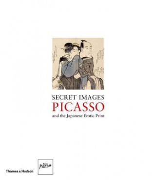 Kniha Secret Images Museu Picasso