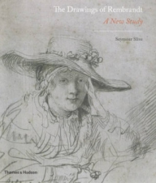 Kniha Drawings of Rembrandt Silve Seymour