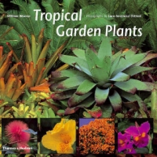 Könyv Tropical Garden Plants William Warren