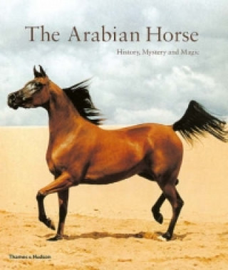 Книга Arabian Horse H.H.Sheikh Zaye al-Nahyan