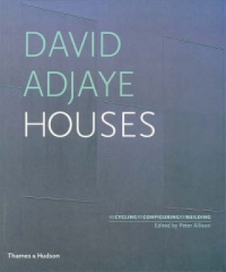 Kniha David Adjaye Houses Peter Allison