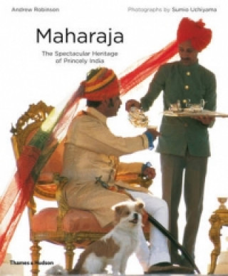 Kniha Maharaja Andrew Robinson