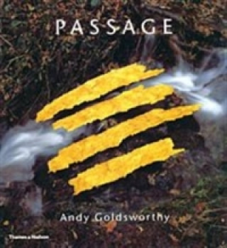 Kniha Passage: Andy Goldsworthy Andy Goldsworthy