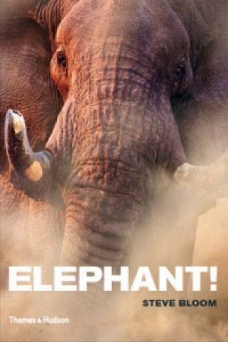 Kniha Elephant! Steve Bloom