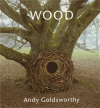 Книга Wood: Andy Goldsworthy Andy Goldsworthy