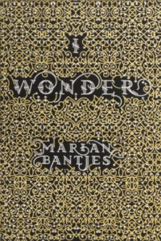 Book I Wonder Marian Bantjes