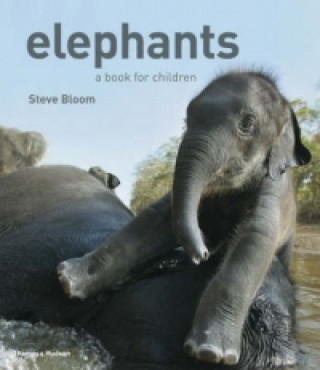 Könyv Elephants Steve Bloom