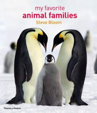 Kniha My Favourite Animal Families Steve Bloom