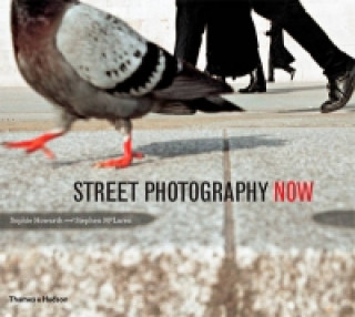 Kniha Street Photography Now Sophie Howarth