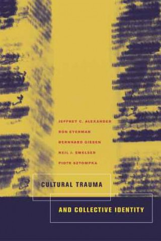 Книга Cultural Trauma and Collective Identity Jc Alexander
