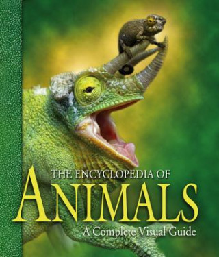 Книга Encyclopedia of Animals George McKay