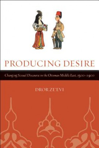 Kniha Producing Desire D P Ze´evi