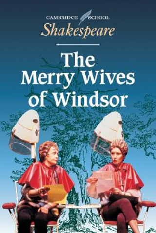 Kniha Merry Wives of Windsor Jerome Monahan