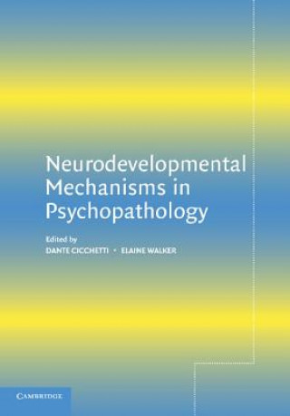 Knjiga Neurodevelopmental Mechanisms in Psychopathology Dante Cicchetti