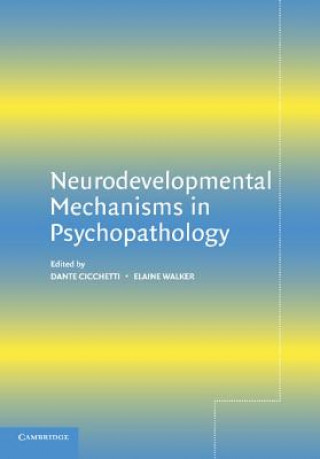 Livre Neurodevelopmental Mechanisms in Psychopathology Dante Cicchetti