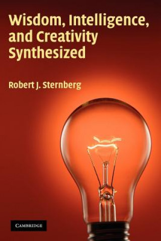 Könyv Wisdom, Intelligence, and Creativity Synthesized Robert J. Sternberg