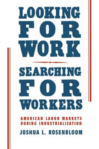 Kniha Looking for Work, Searching for Workers Joshua L Rosenbloom