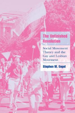 Könyv Unfinished Revolution Stephen M Engel