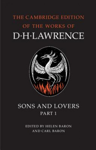 Book Complete Novels of D. H. Lawrence 11 Volume Paperback Set D H Lawrence