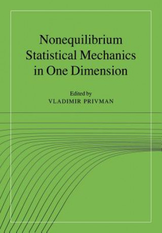 Könyv Nonequilibrium Statistical Mechanics in One Dimension Vladimir Privman