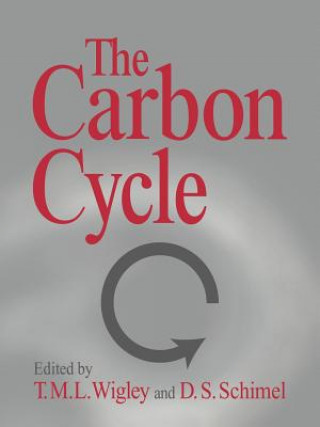 Knjiga Carbon Cycle T.M.L. Wigley