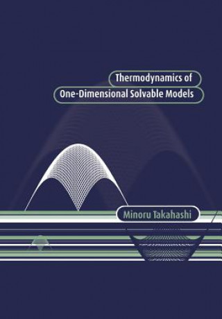 Könyv Thermodynamics of One-Dimensional Solvable Models Minoru Takahashi