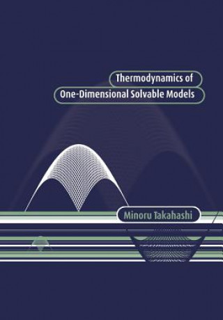 Kniha Thermodynamics of One-Dimensional Solvable Models Minoru Takahashi