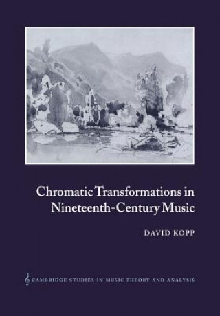 Kniha Chromatic Transformations in Nineteenth-Century Music David Kopp