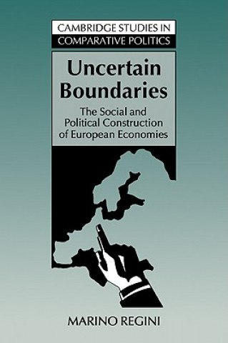 Book Uncertain Boundaries Marino Regini