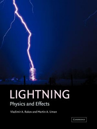 Carte Lightning Vladimir A. (University of Florida) Rakov