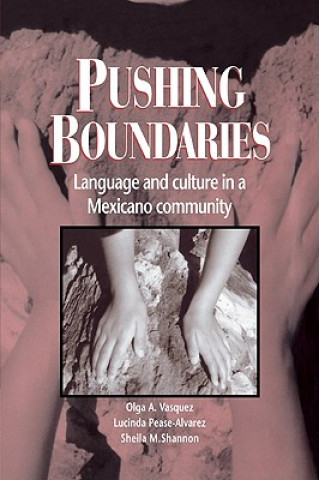 Kniha Pushing Boundaries Olga A. Vasquez