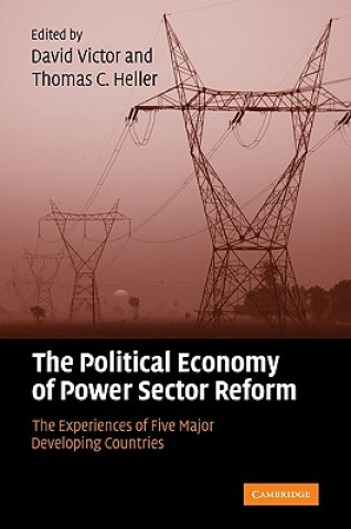 Könyv Political Economy of Power Sector Reform David G. Victor